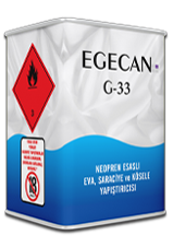EGECAN-G33